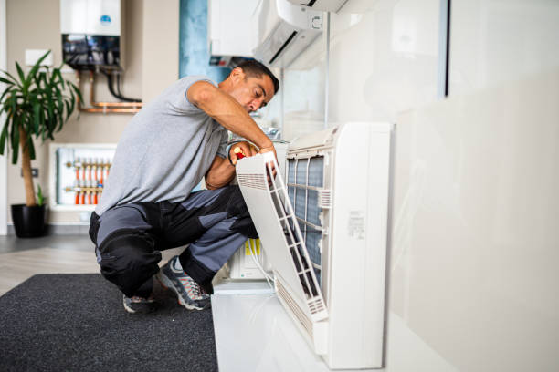 Best Air Duct Mold Removal  in Choudrant, LA